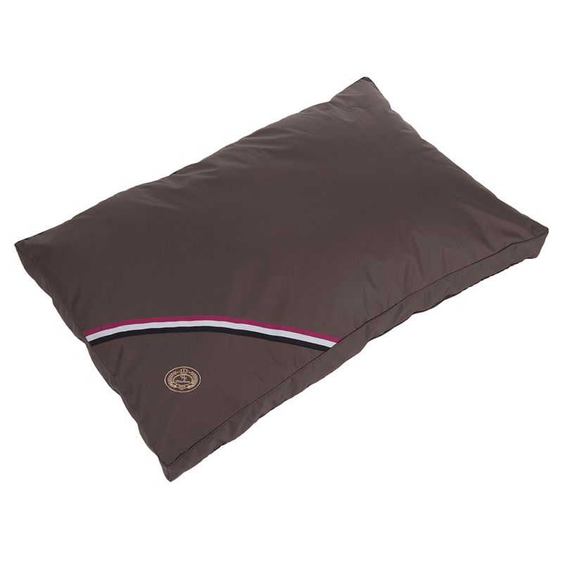 Coussin Champion