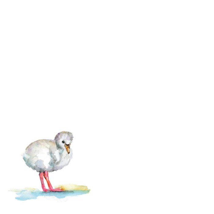 Michelle Dujardin | Geboortekaart | Flamingo