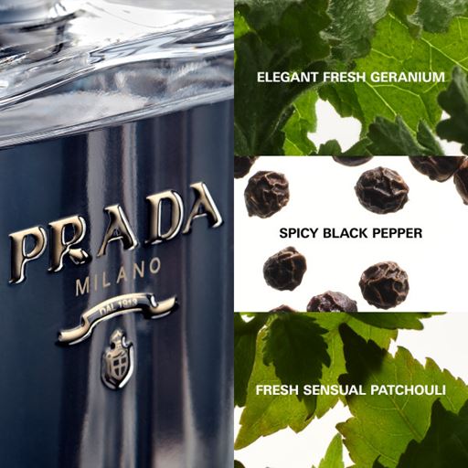 Prada L'Homme Eau De Toilette 50 ml