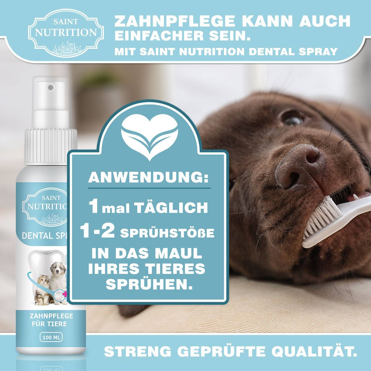 Saint Nutrition® | Dental Spray | gegen Maulgeruch
