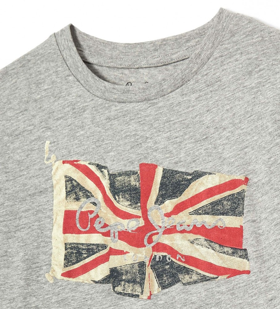 Camiseta cinza com o logo da bandeira da Pepe Jeans