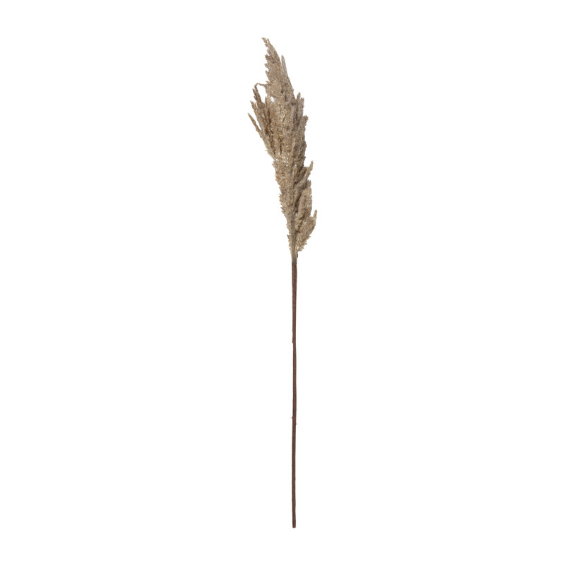Kunstbloem pampas tak - 81 cm - diverse kleuren