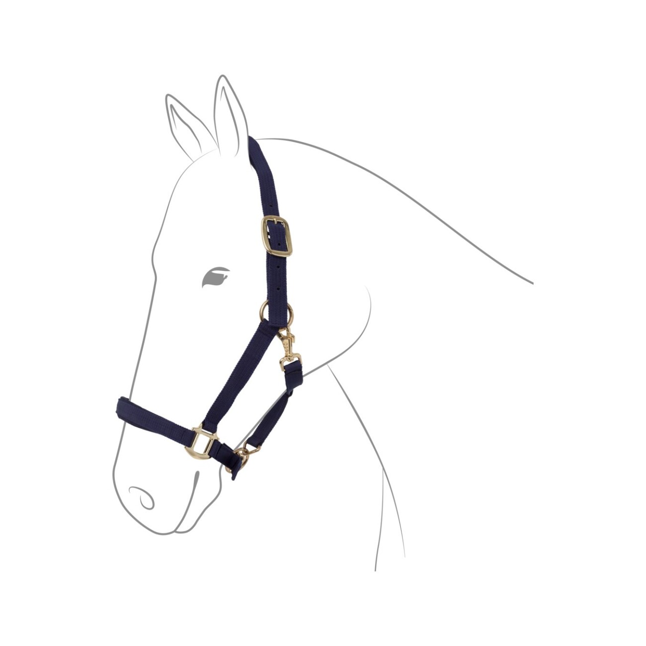 EQuest Halfter Dual Plus navy Pony