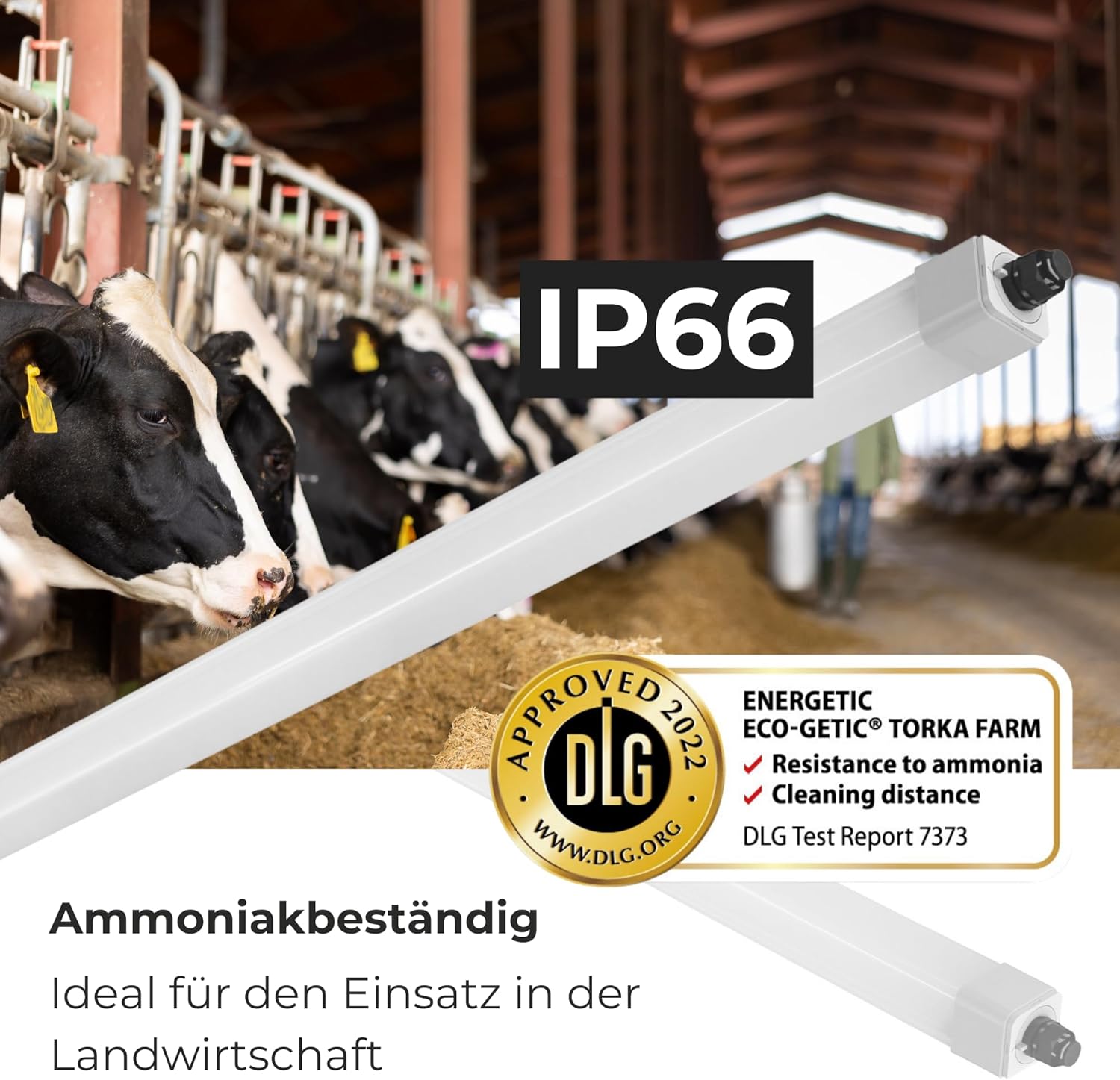 12x LED Feuchtraumleuchte Stallleuchte 120cm 4000K dlg anerkannt ammoniakbeständig 36W 4300lm IP66 Agrarleuchte Stalleuchte Beleuchtung Kuh Kuhbeleuchtung Schweineleuchte agrarlampe