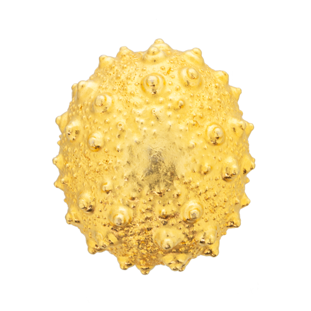 Bouton de meuble - Alchimie