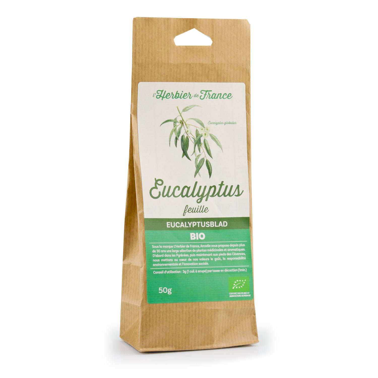 Infusion eucalyptus bio