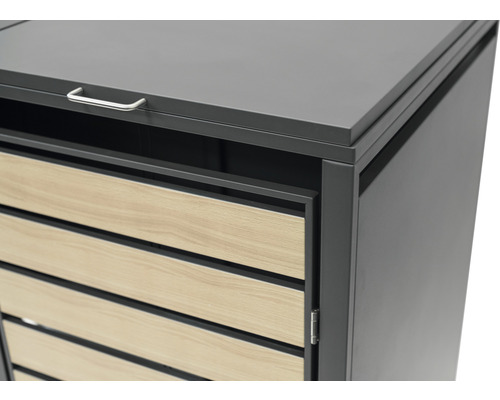 WESTMANN bakkenopbergbox inclusief gasveren en dekseldempers, 132 x 80 x 116 cm, antraciet