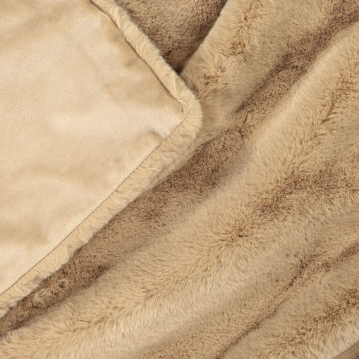 LA REDOUTE INTERIEURS<br>Lançamento fofo, Colton