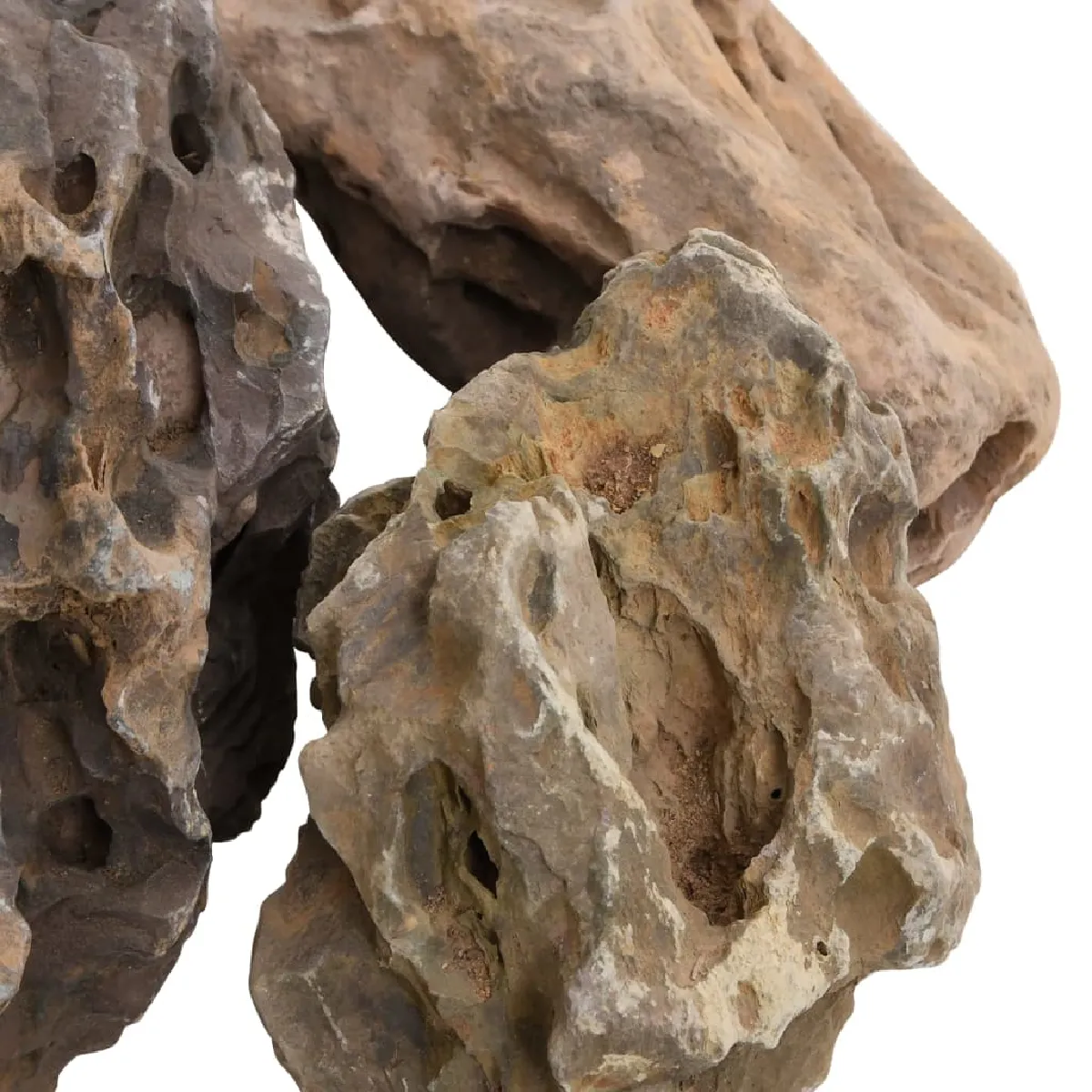 vidaXL Pierres du Dragon