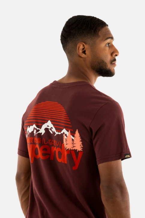 Tee shirt superdry great outdoor 2xy rum raisin brown