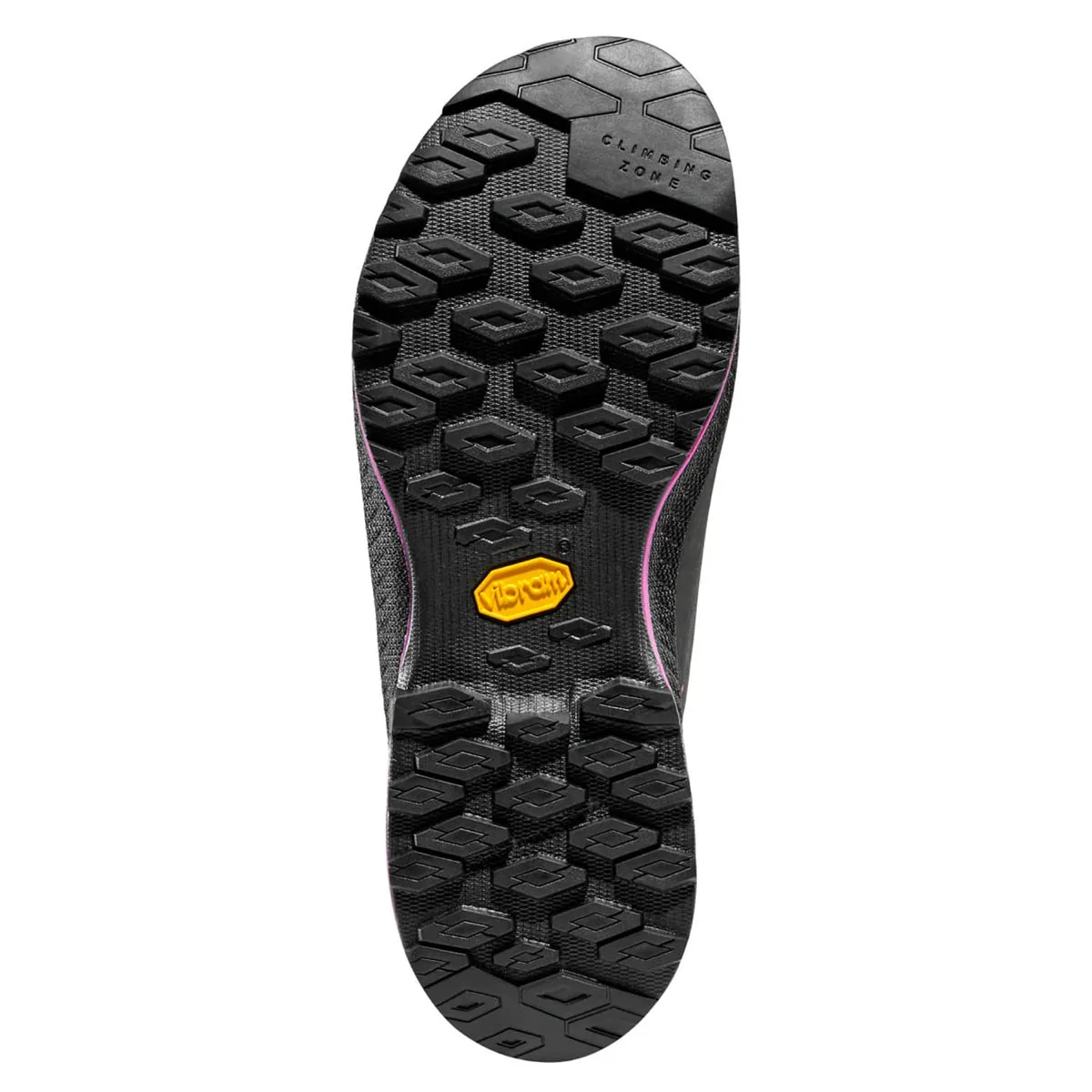 La Sportiva Tx4 Evo Gtx W'S Anmarsjsko Carbon/springtime