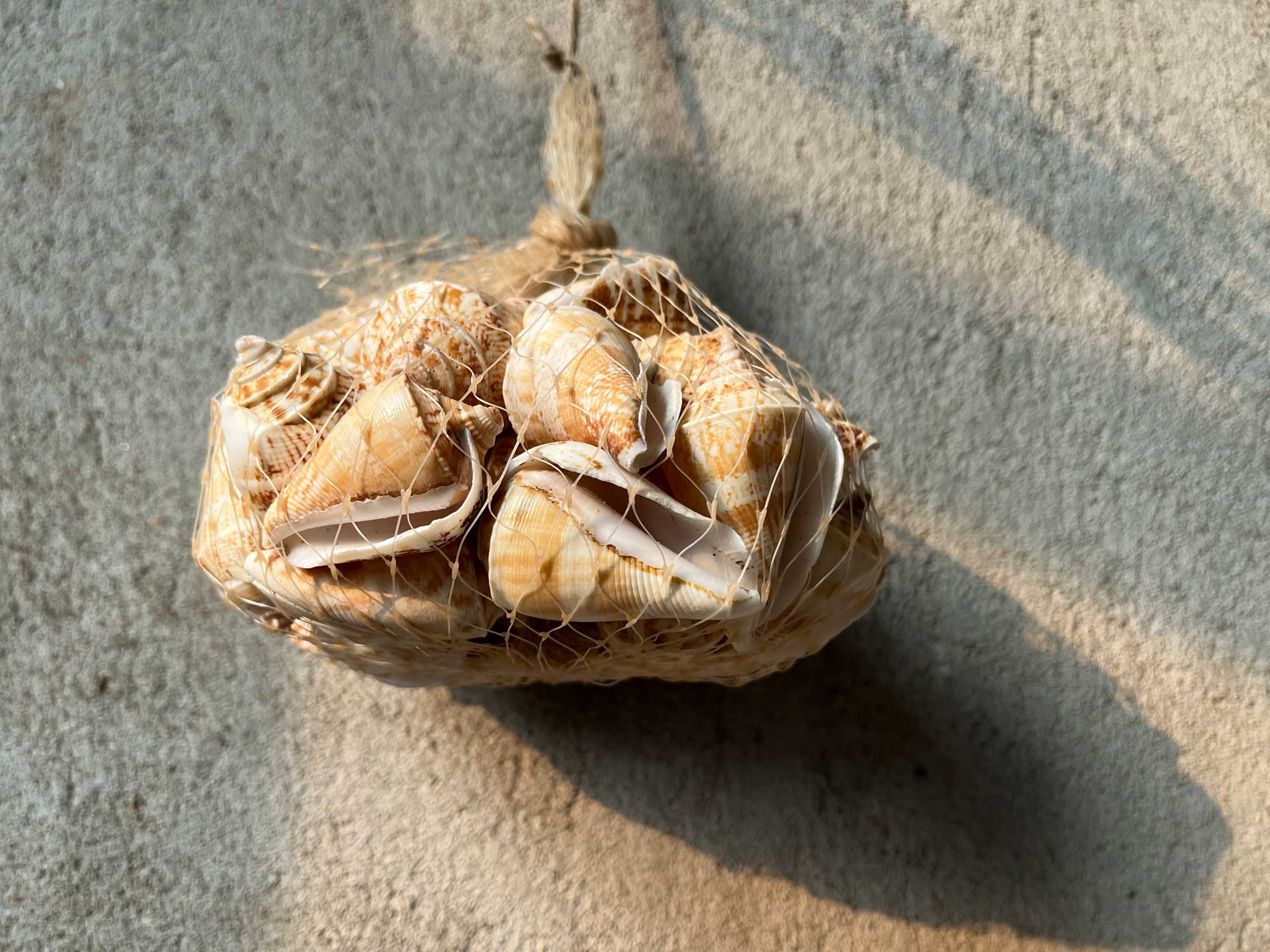 Muschelmix im Netz, 400 g von fischer's lagerhaus