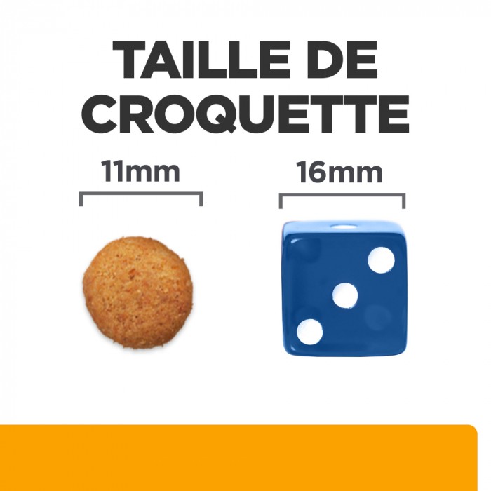 HILL'S Prescription Diet c/d Urinary Multicare + Metabolic - Croquettes pour chien