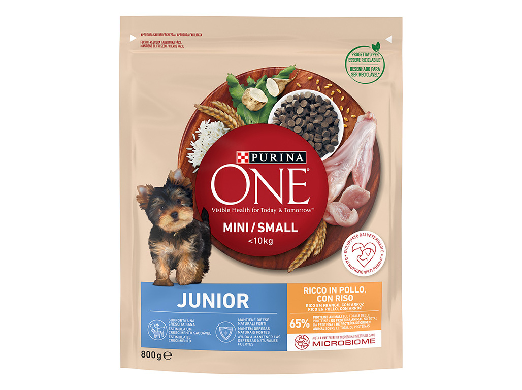 RAÇÃO PARA CÃO PURINA ONE MINI JÚNIOR COM FRANGO 800G
