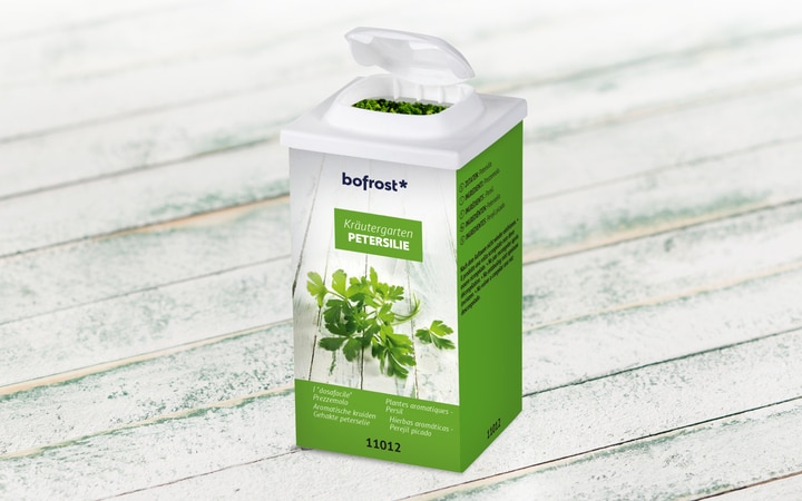 Kräutergarten Petersilie (11012) | online bestellen!