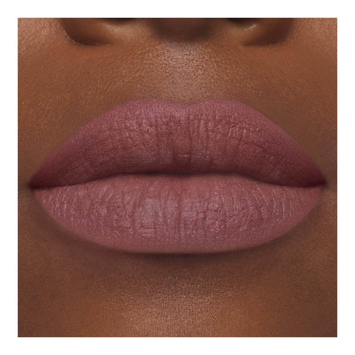 ESTEE LAUDER Pure Color Rouge à Lèvres Mat