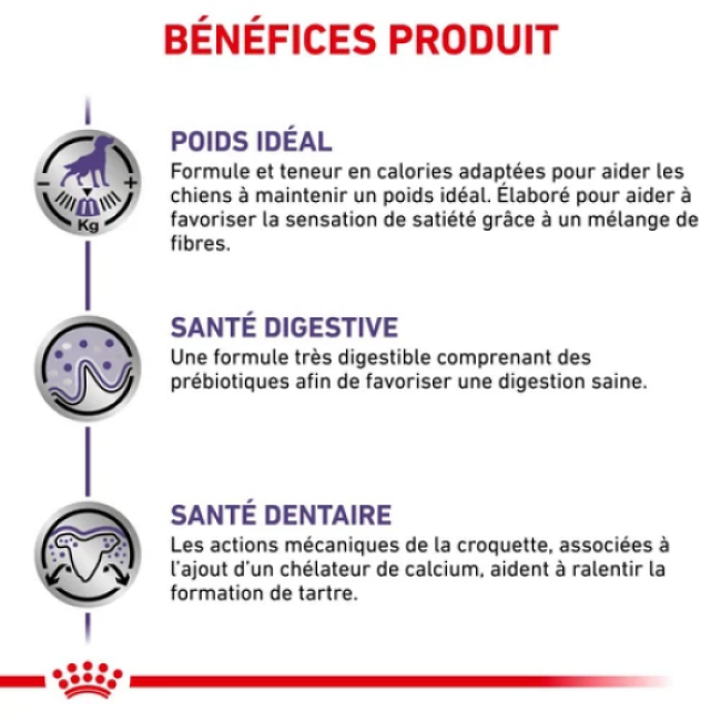 Croquettes Royal Canin Expert Care Neutered Adulte Small Dog Weight & Dental