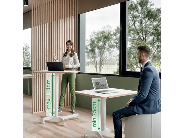 Leitz Ergo hæve-sænke skrivebord med hjul 60x80 cm hvid
