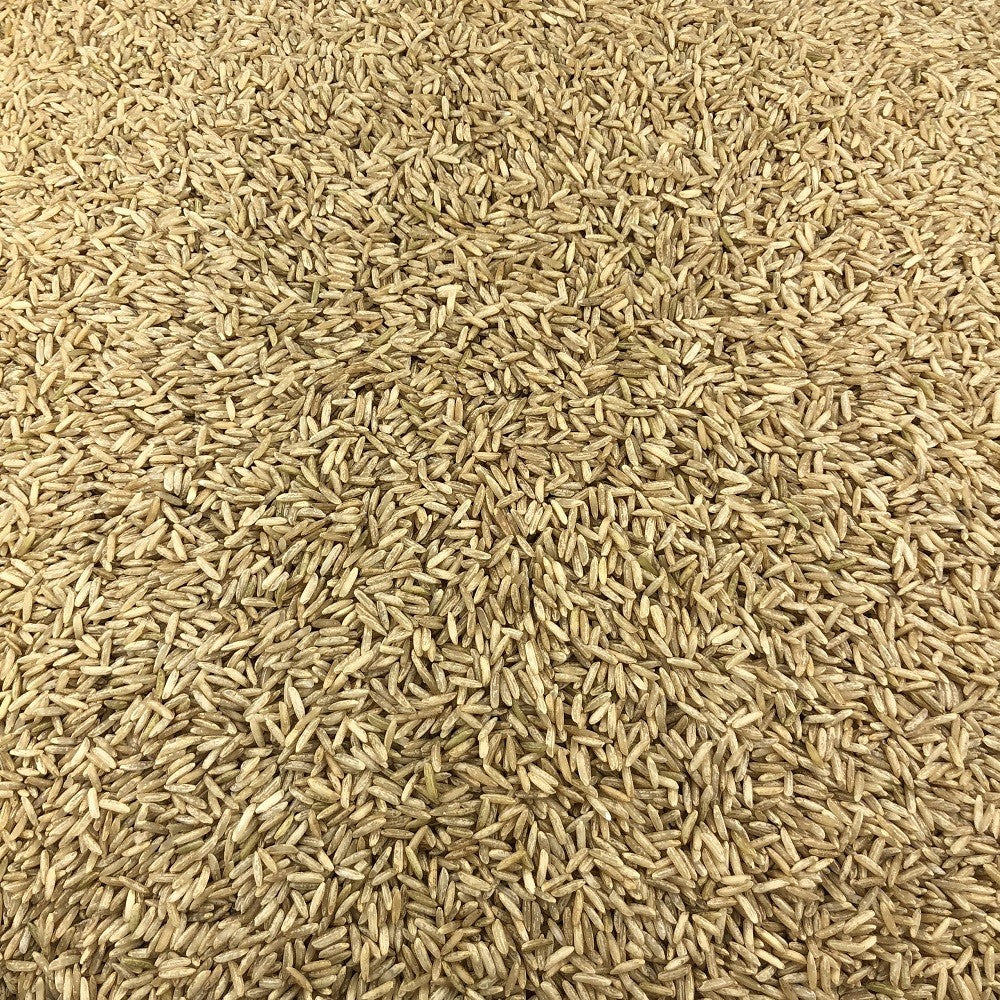 Riz Complet Bio en Vrac 25kg Vrac Bio