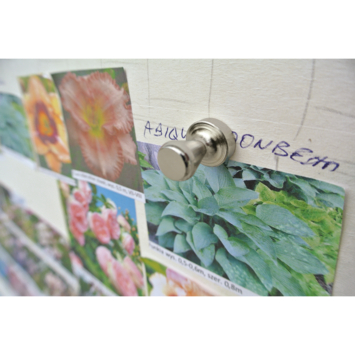 Magneet pion Neodymium zilver 15x21mm 2 stuks