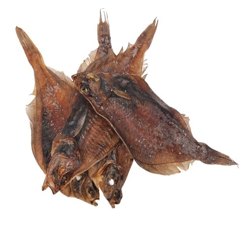 Peixe Dognia Solha para Cães