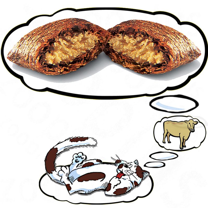 Friandises Dreamies Catisfactions, bœuf à prix discount sur bitiba.fr
