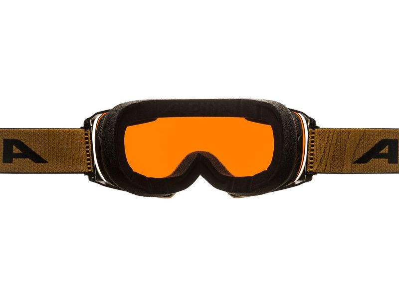 alpina Skibrille Granby Q-Lite Schwarz Komfortable Skibrille