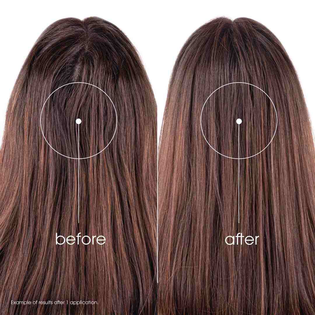 KLORANE  Champô Seco Ortiga e Vitamina E (Cabelo Castanho) - 150ml