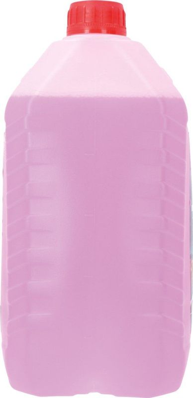 Protecton - Ruitensproeiervloeistof - 5 Liter - Geschikt Voor Zomer