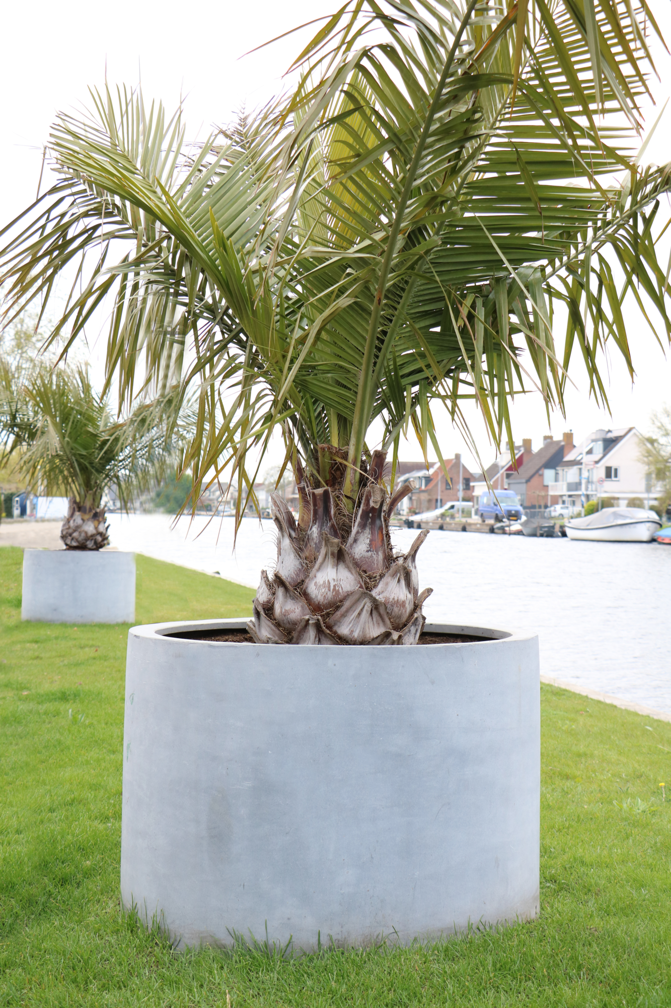 Plantenpot Maine grey Ø60 x H45cm