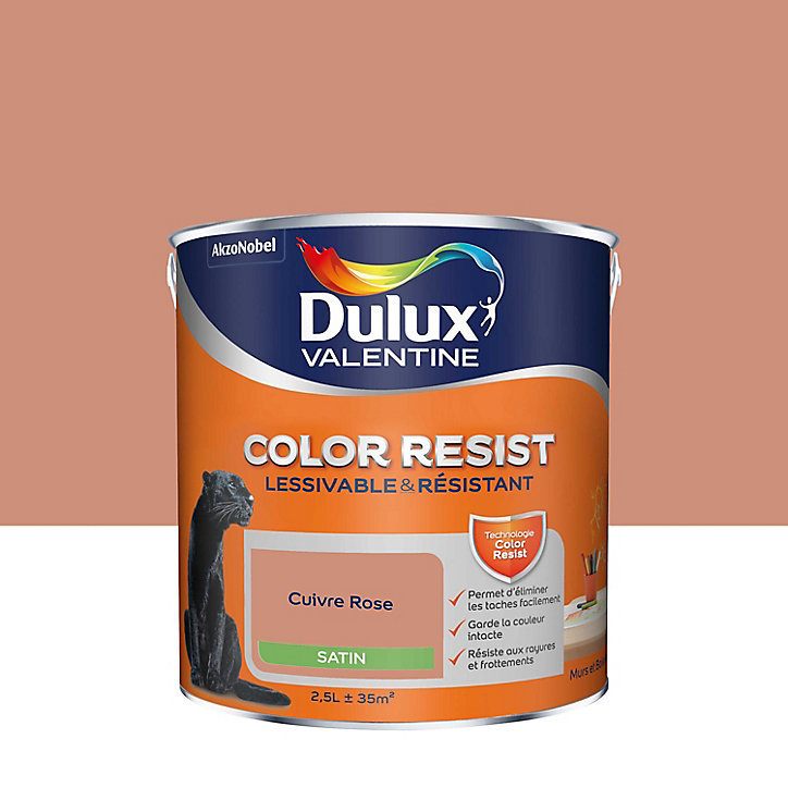 Peinture murs et boiseries Color Resist Dulux Valentine satin cuivre rose 2,5L