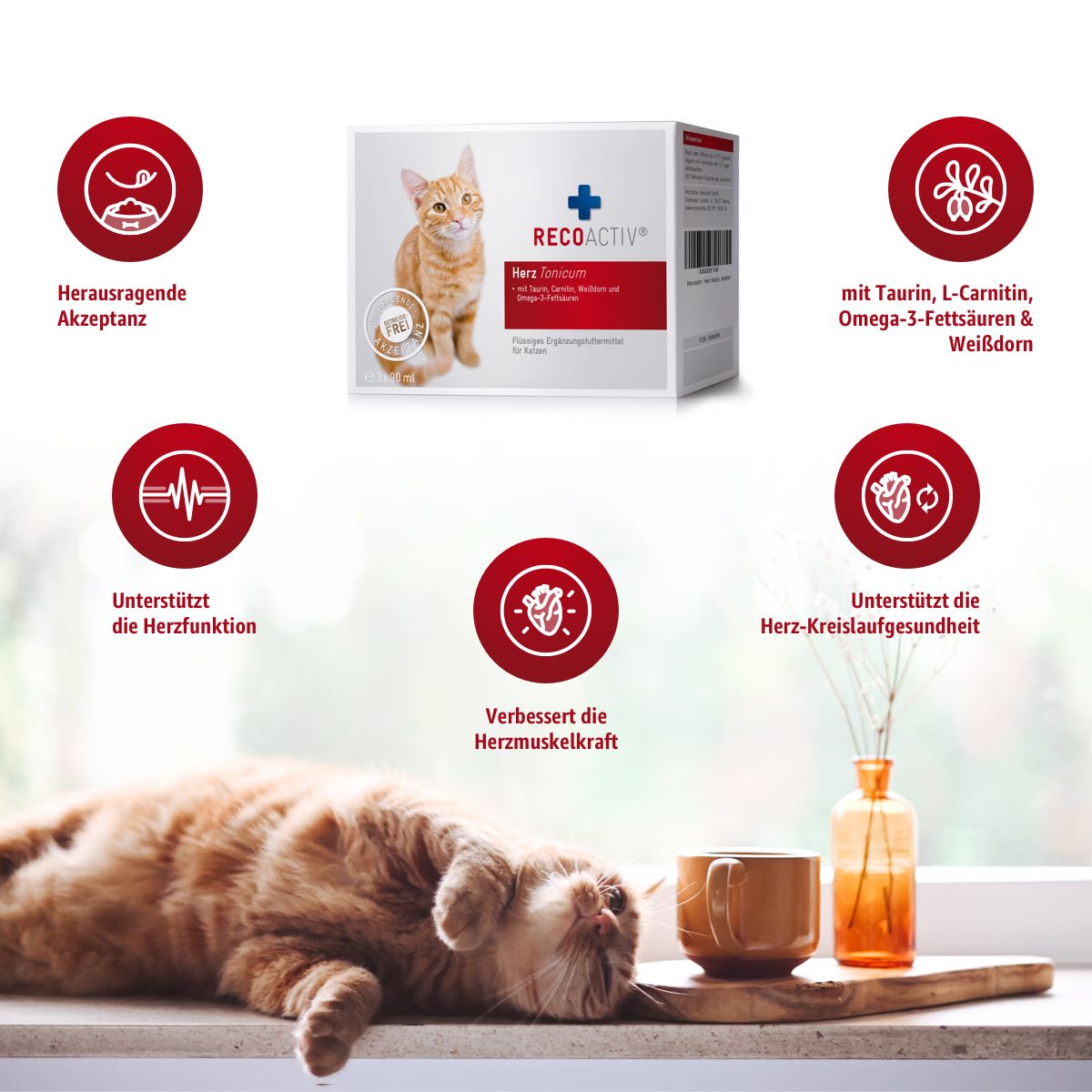 RECOACTIV® Herz Tonicum