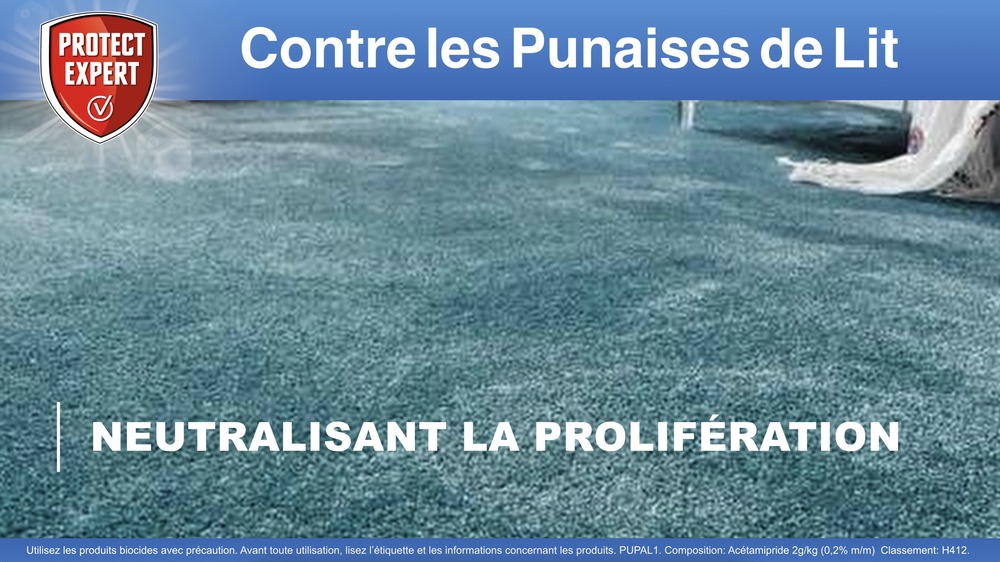 Anti punaises de lit foudroyant | aérosol anti punaises de lit | diffu