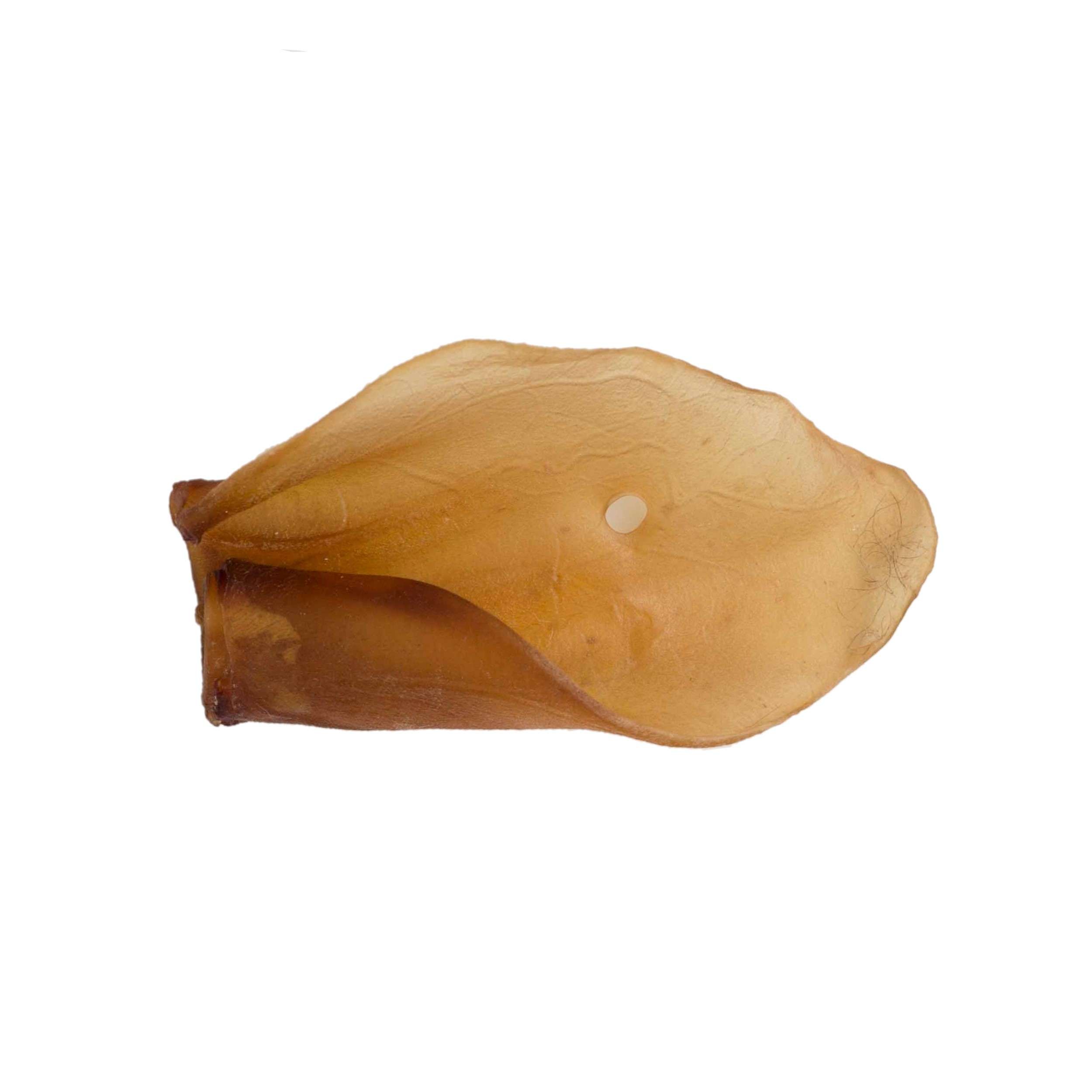 Petisco de orelha de boi 100% natural PETplus para cães