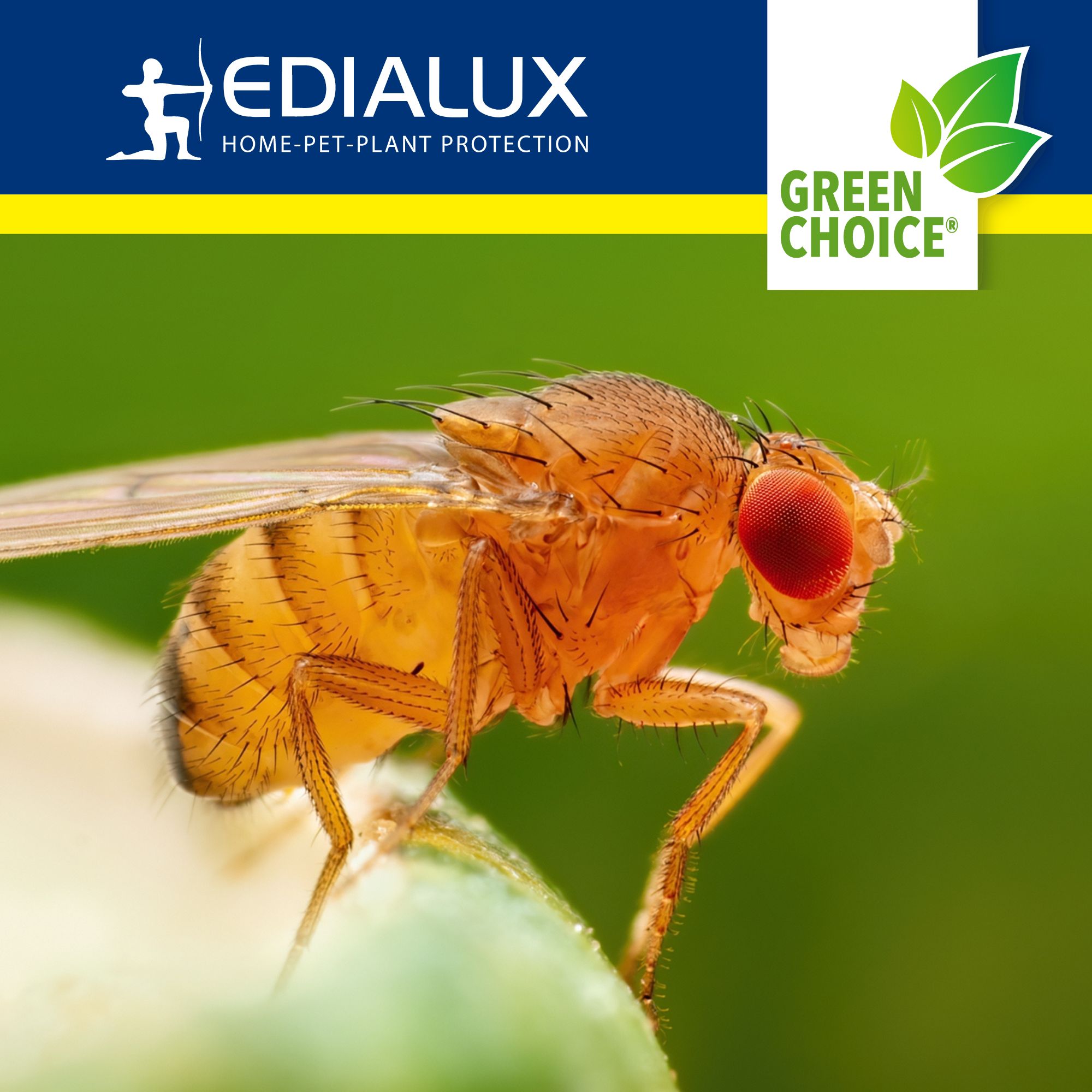 Green Choice fruitvliegenval met 2 lokmiddellen