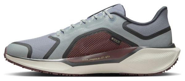 Chaussures Running Nike Pegasus 41 GTX Gris/Bleu Homme