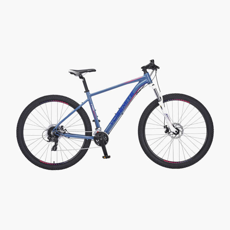 Mountainbike 29