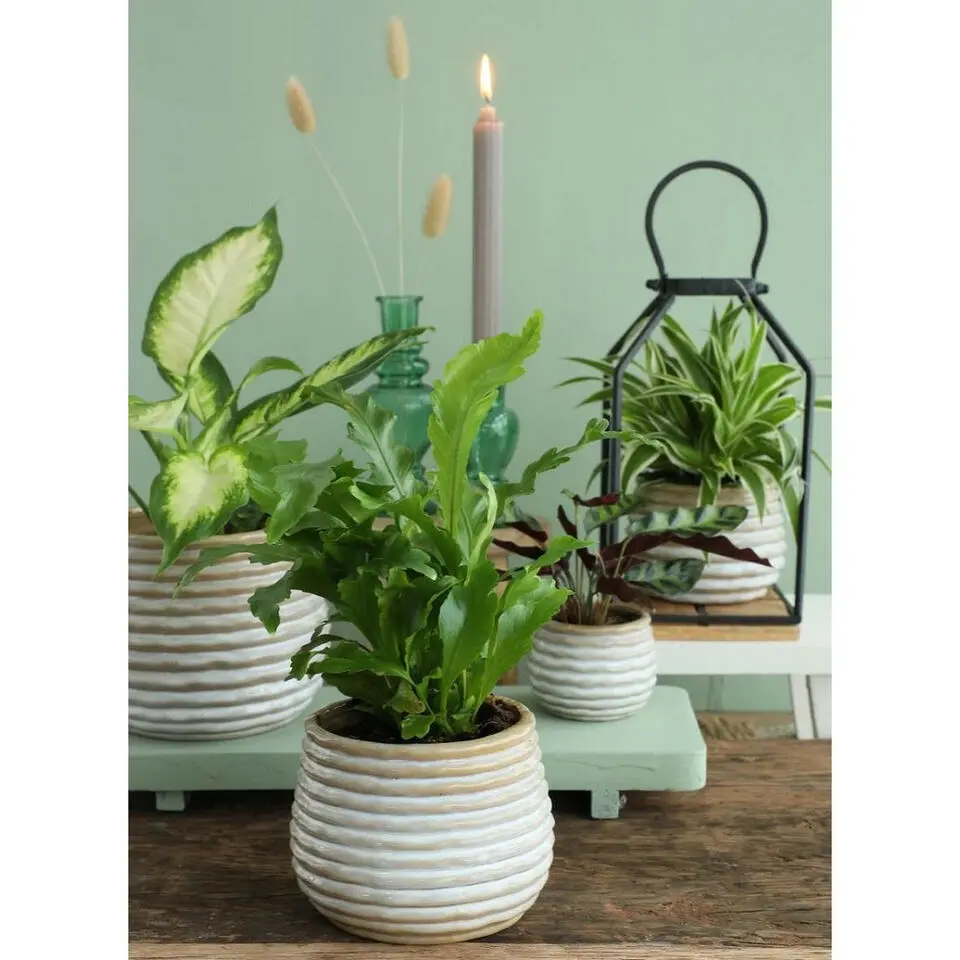 Ideas4seasons Plantenpot ribbel - creme wit - D16 x H13 cm