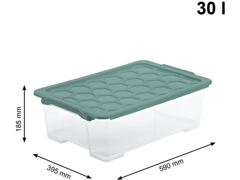 Rotho Aufbewahrungsbox Evo Safe 30 l, Grün/Transparent Box mit Deckel