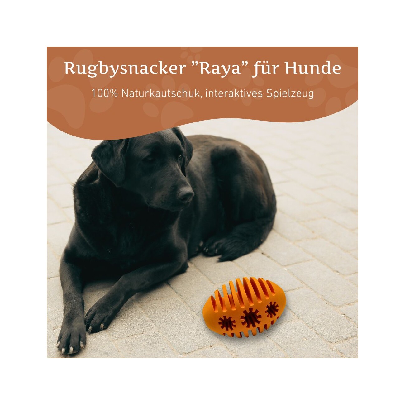 Wildfang Naturkautschuk Hundespielzeug - Rugbysnacker 