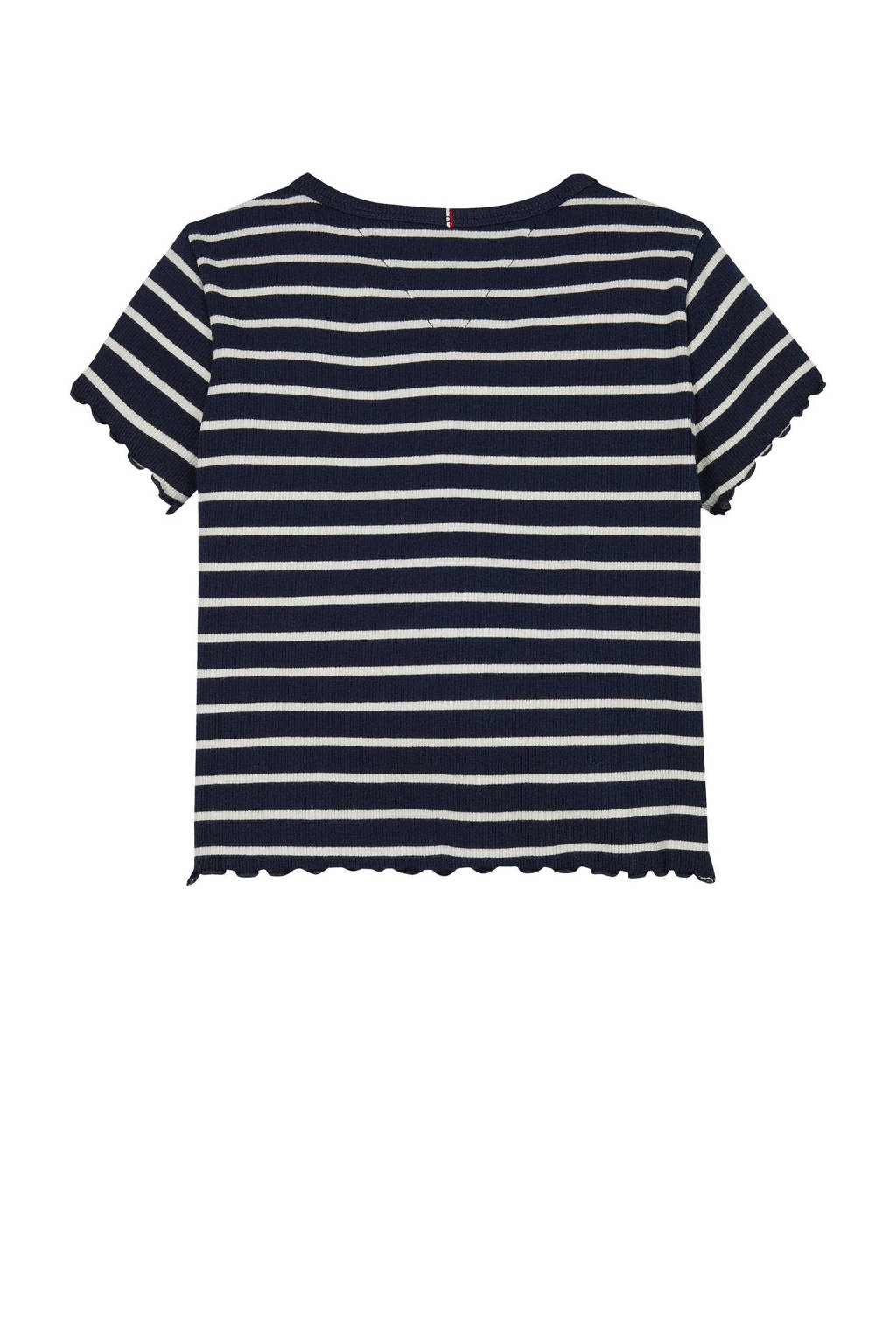 Tommy Hilfiger t-shirt blauw