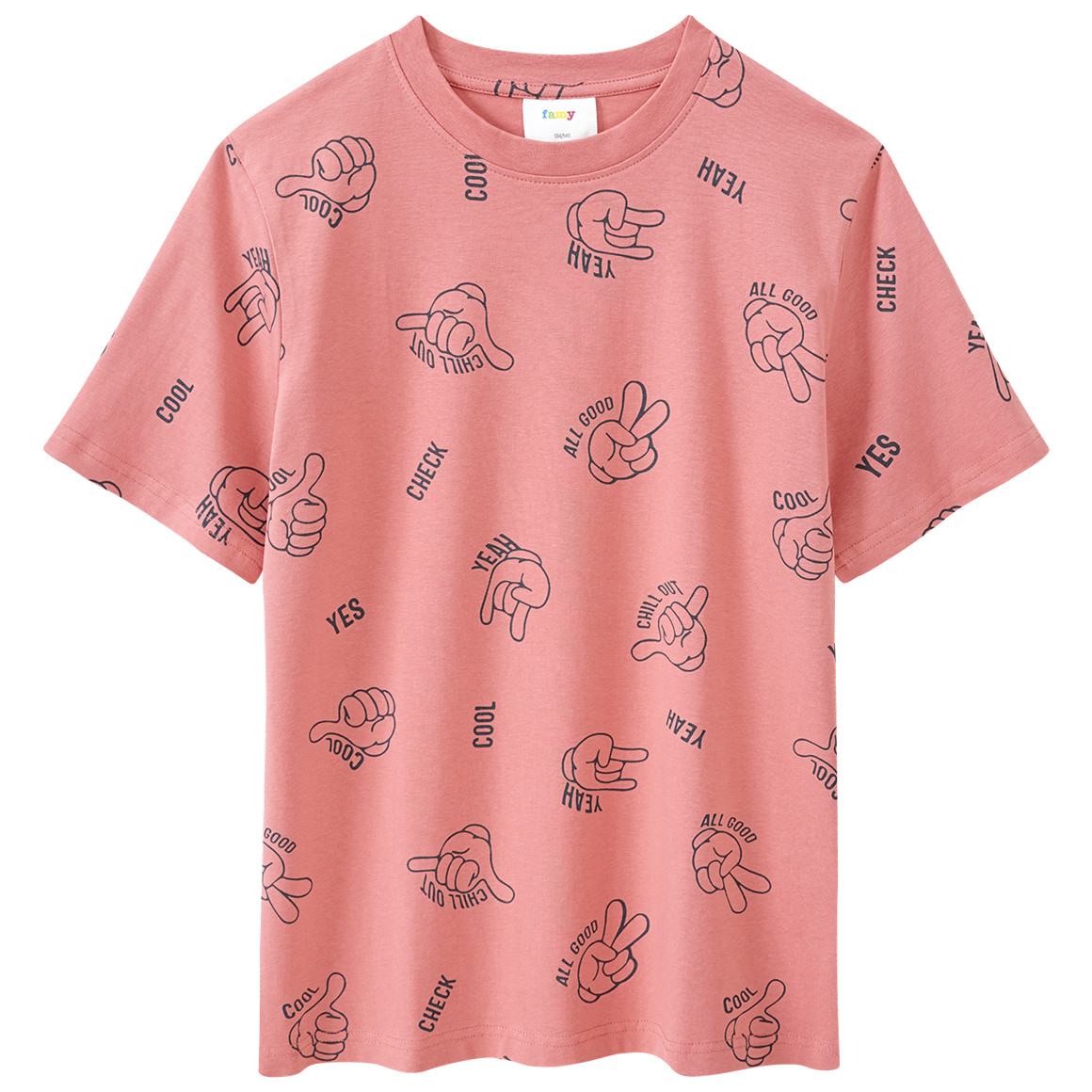 Famy 3 Jungen T-Shirts mit Prints helltürkis / blaugrau / terracotta