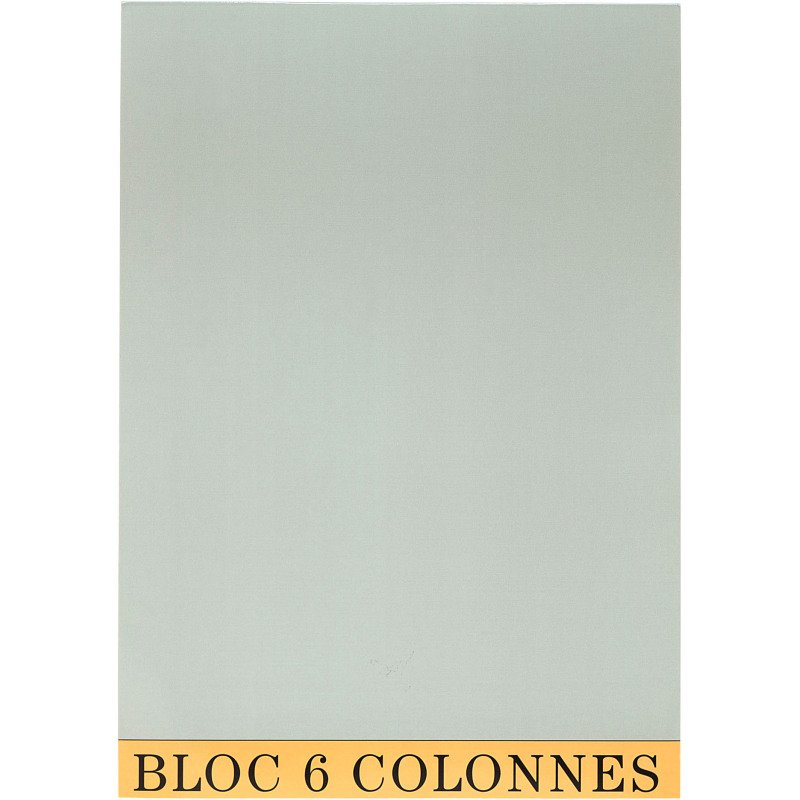 Bloc de contrôle comptable 6 colonnes Exacompta 5706E