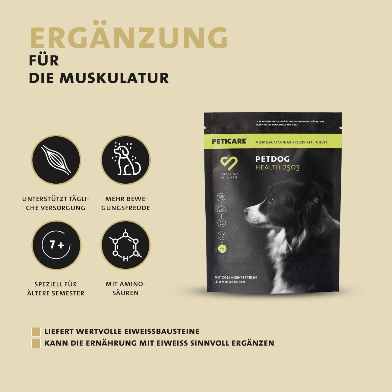 Peticare Muskulatur Pulver für Hunde, mit essenziellen Aminosäuren, Kollagen 125 g