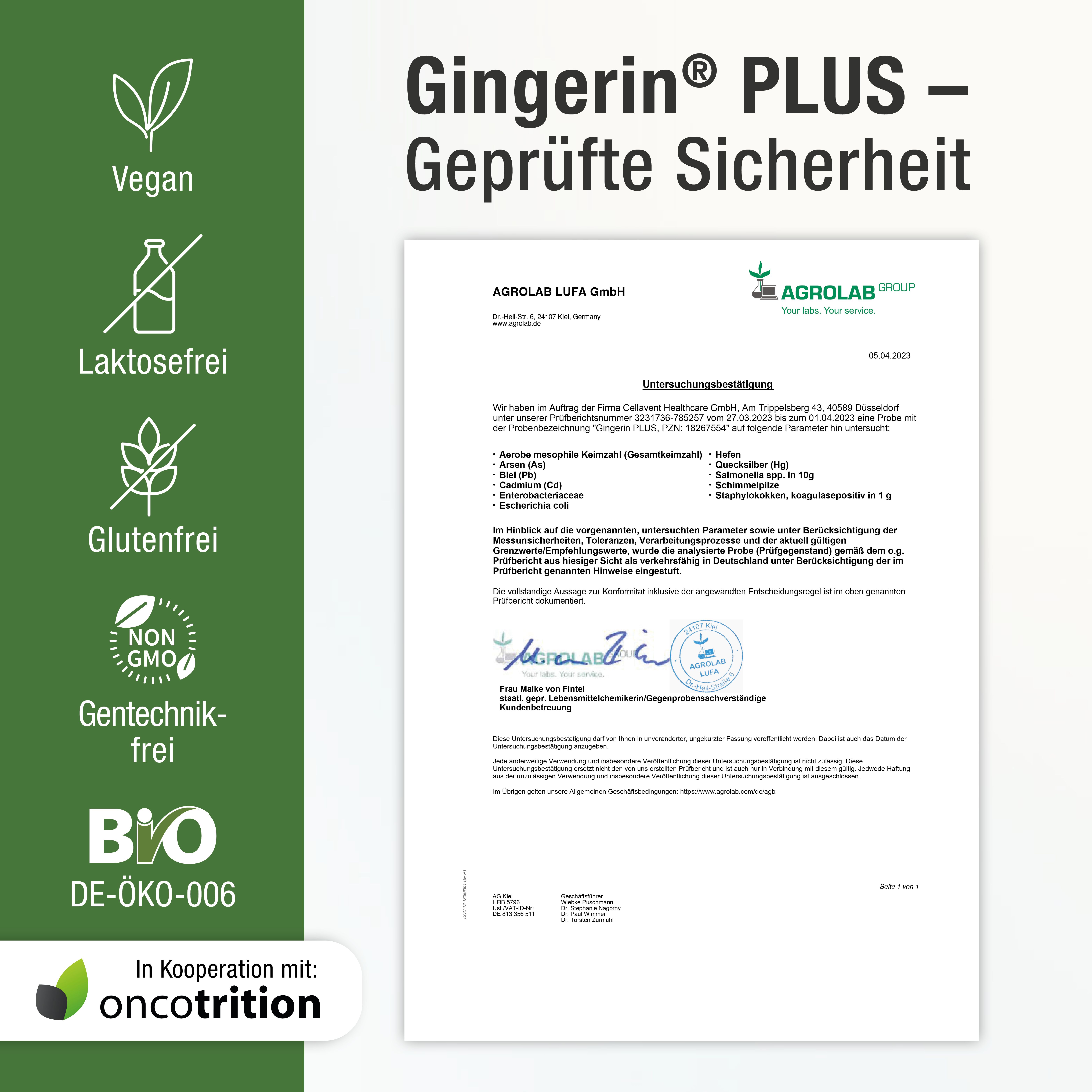 GINGERIN PLUS® Ingwer Kapseln