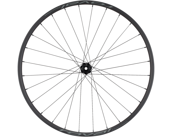 Roval Control Alloy 350 29