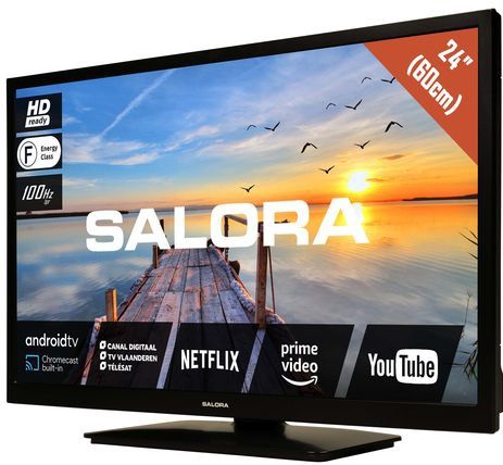 Salora MOBILE24TV tv 61 cm (24