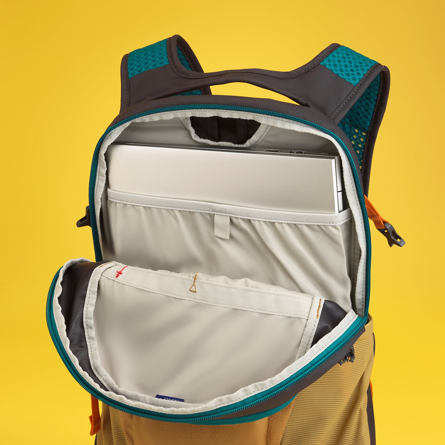 Osprey Daylite blue spikemoss/alkaline