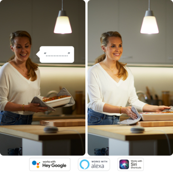 WiZ Connected LED peer E27 13 mat kleurlicht dimbaar