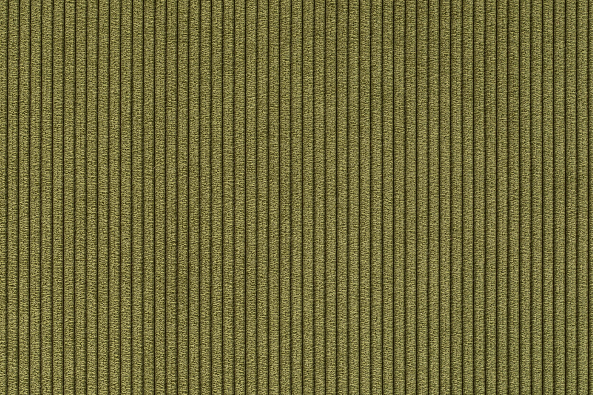 CHAIR RIDGE RIB GREEN 25A